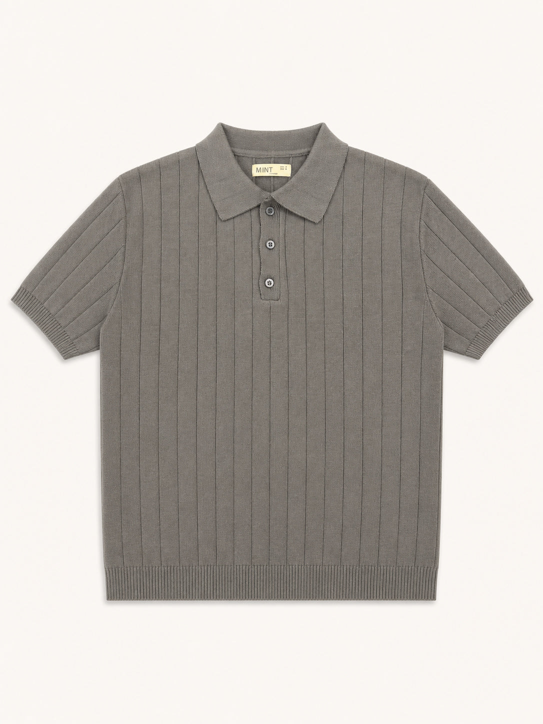 Ash Classic Rib Knit Polo - Men