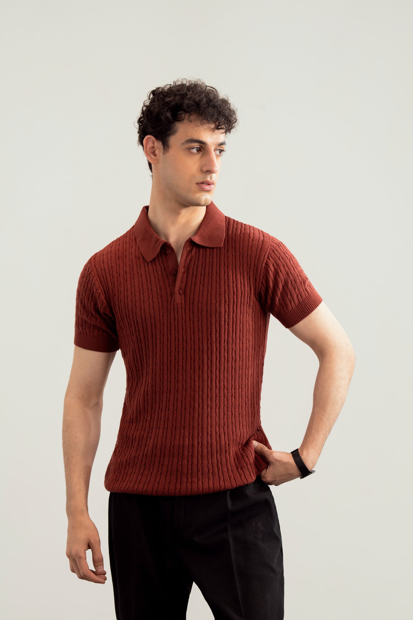 Dark Cherry Cable Knit Polo - Men - Men