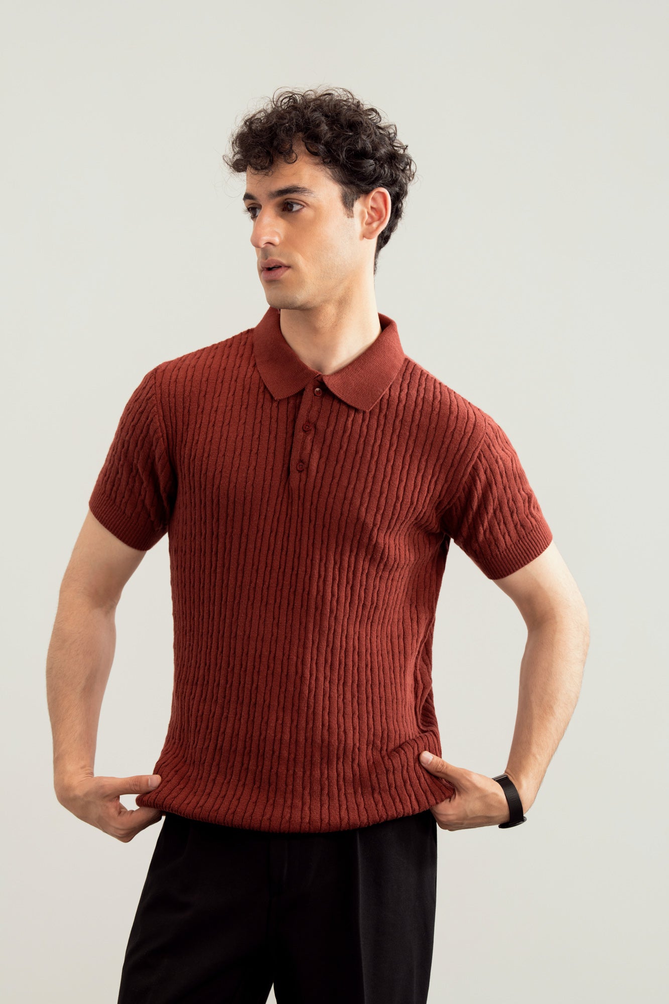 Dark Cherry Cable Knit Polo - Men - Men